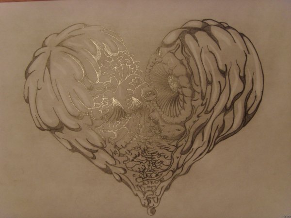 Единорог рисунок