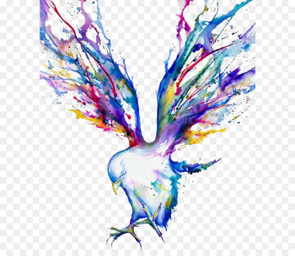 Постер. Красочные птицы