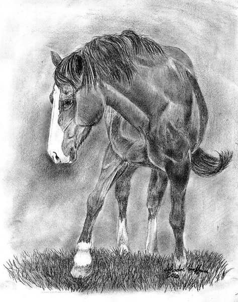 Красивые техники рисования карандашом