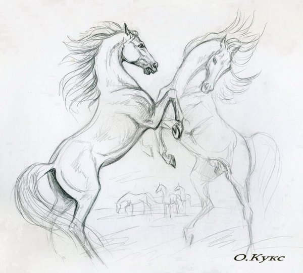 Рисунок лошади карандашом для срисовки