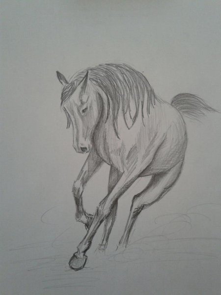 Лошадь рисунок карандашом