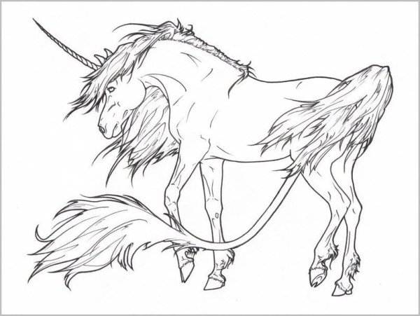 Единорог для срисовки карандашом