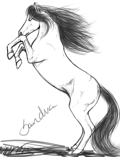 Лошадь для срисовки