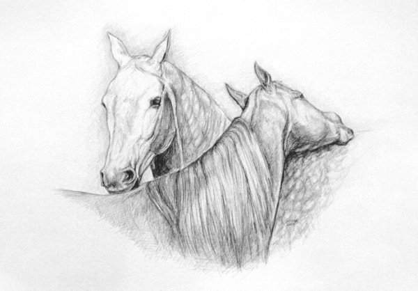 Рисунки с карандашом легкие но красивые