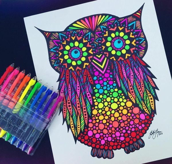 Иллюстрации Кэти Липскомб