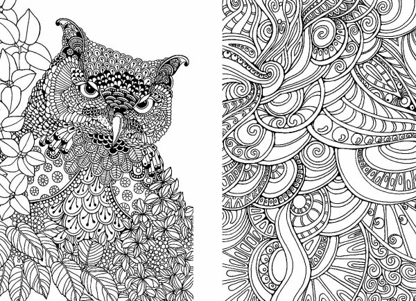 Mythomorphia Kerby Rosanes