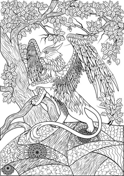 Раскраска для взрослых дракон