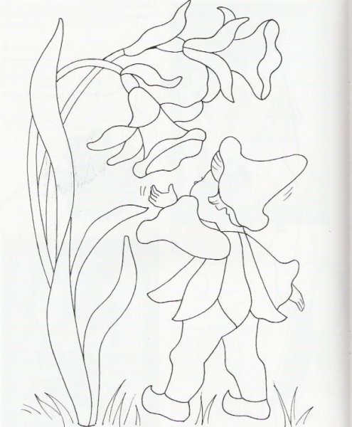 Кинусайга трафареты