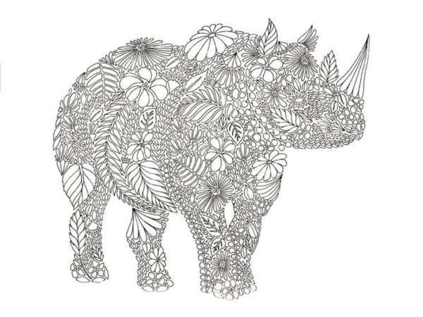 Раскраска антистресс Сова