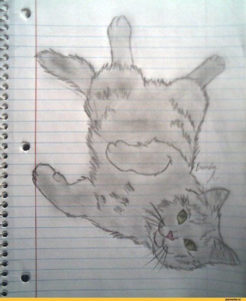 Рисунки в тетради