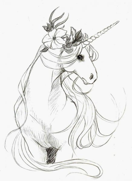 Единорог карандашом