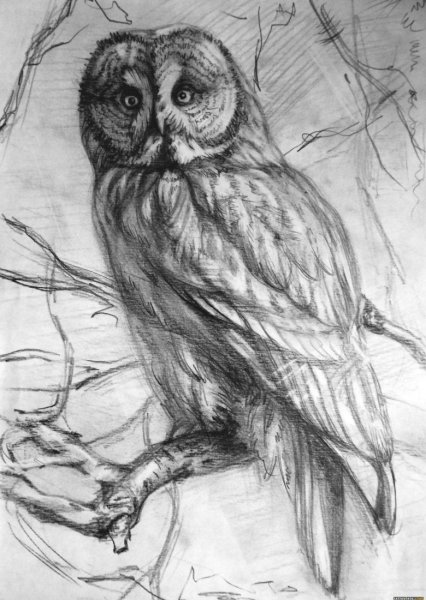 Животные гелевой ручкой