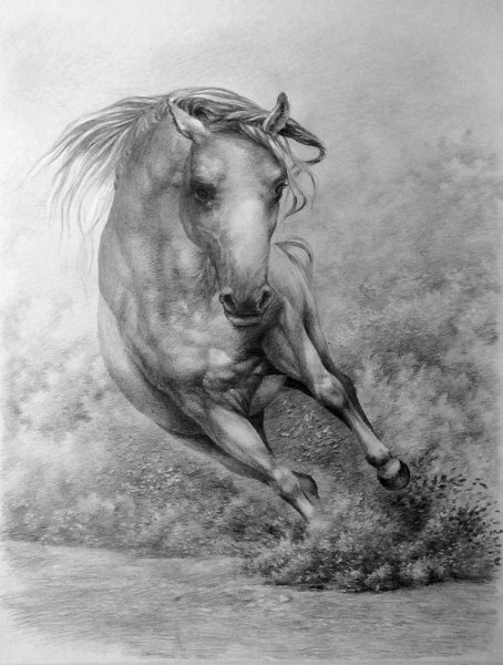 Красивые пейзажи карандашом