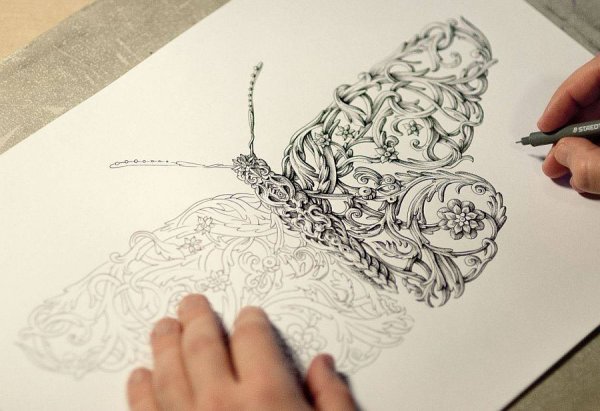 Графика карандашом