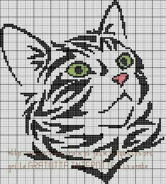 Вышивка морды кошки