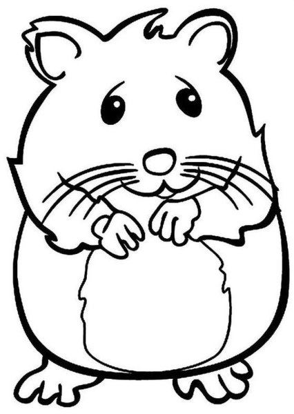 Хомяк раскраска для детей