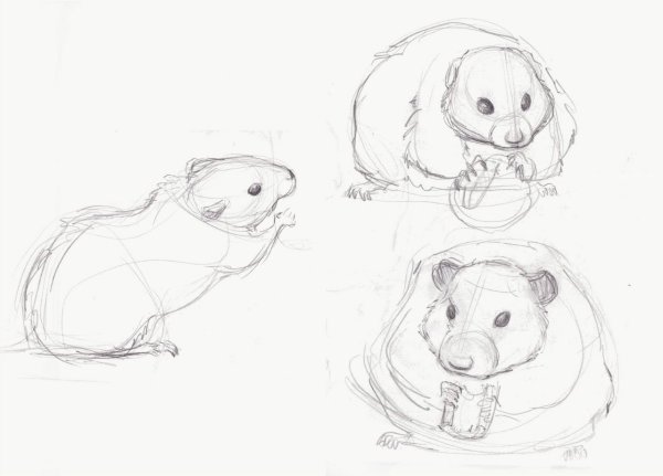 Набросок хомяка