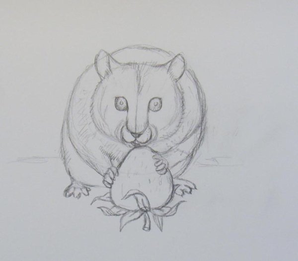 Хомяк карандашом