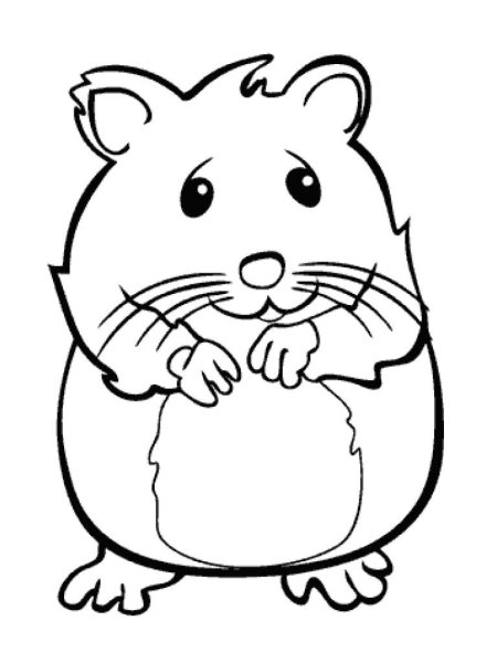 Джунгарский хомяк разукрашка