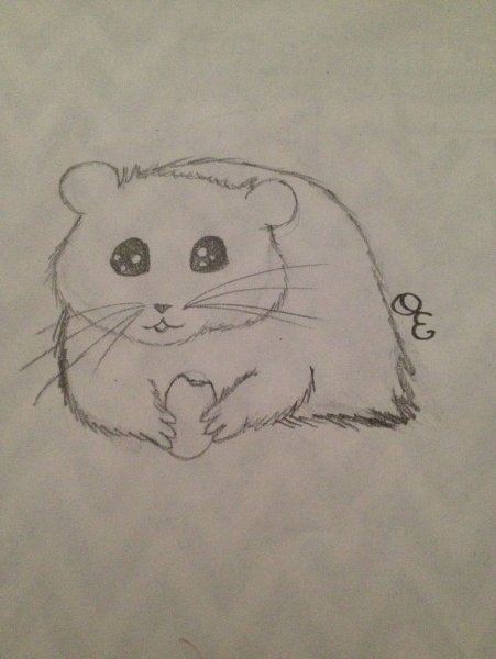 Хомяк для срисовки карандашом