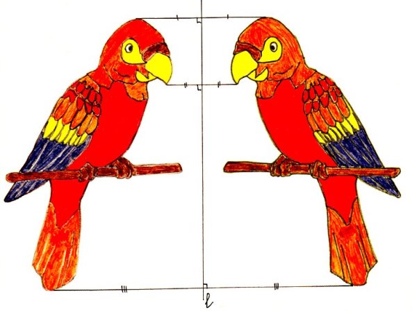 Симметричные рисунки