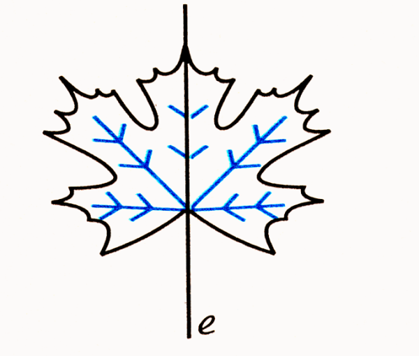 Осевая симметрия