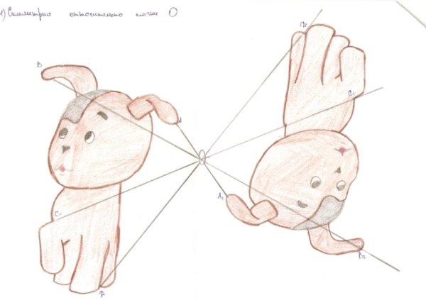 Осевая симметрия рисунки