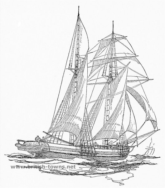 Парусник раскраска