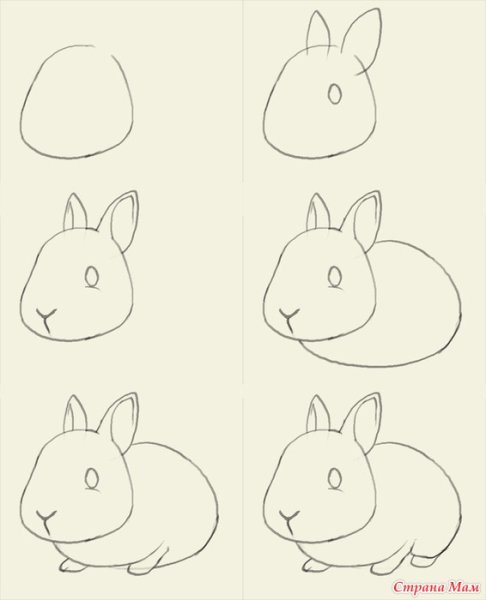 Поэтапное рисование карандашом