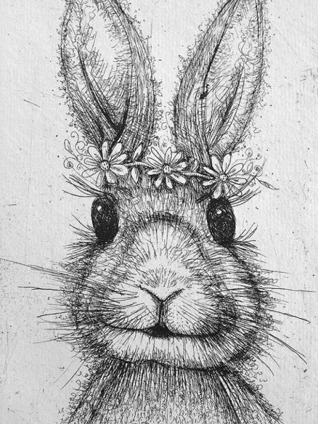 Морда зайца карандашом