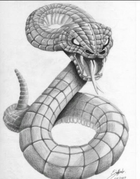 Зарисовка змеи