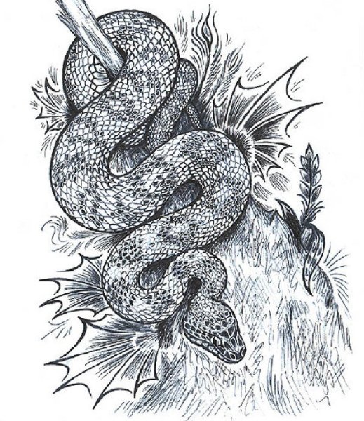 Змея карандашом
