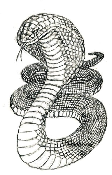 Змея Кобра Королевская тату