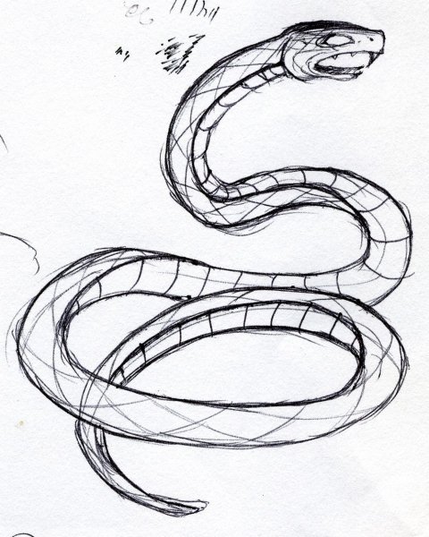 Змея скетч