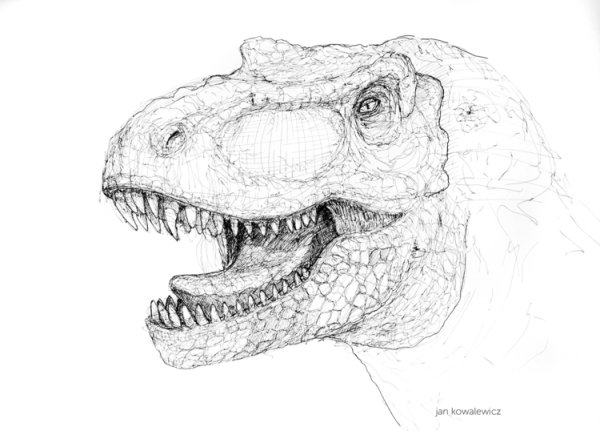 Голова динозавра карандашом