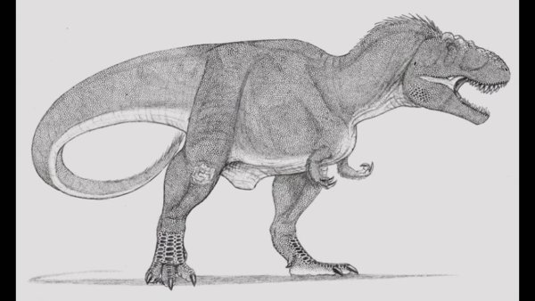 Динозавры карандашом