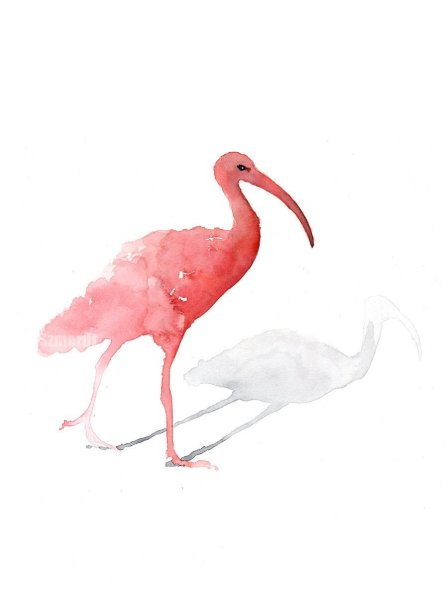 Акварельные кисти в Ибис