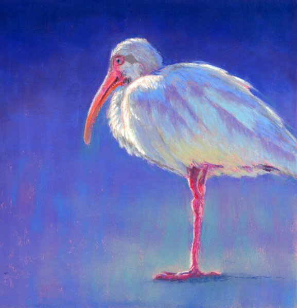 Ибис в живописи