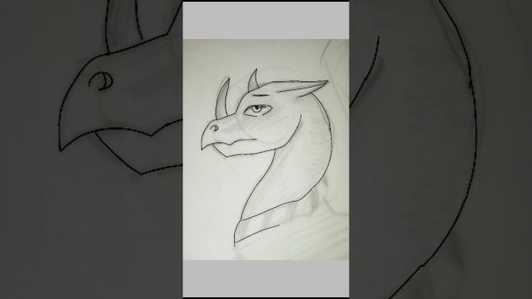 Рисунки не сложные для ibis Paint