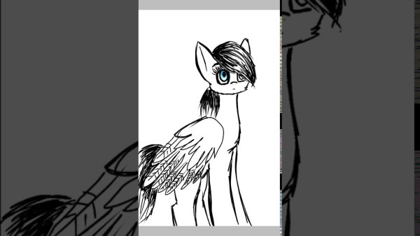 Пони для IBISPAINT X