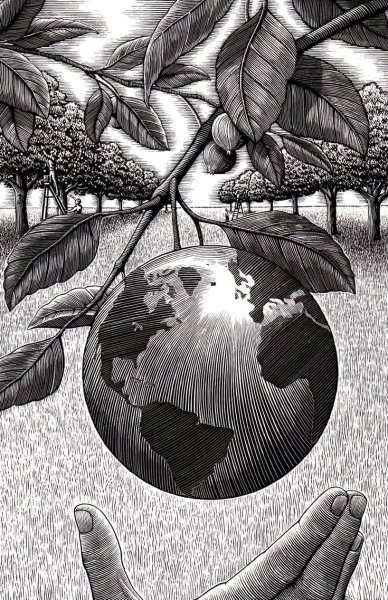 Иллюстрации черно белые графические