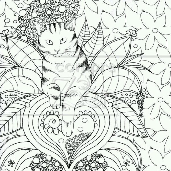 Раскраски антистресс кошки