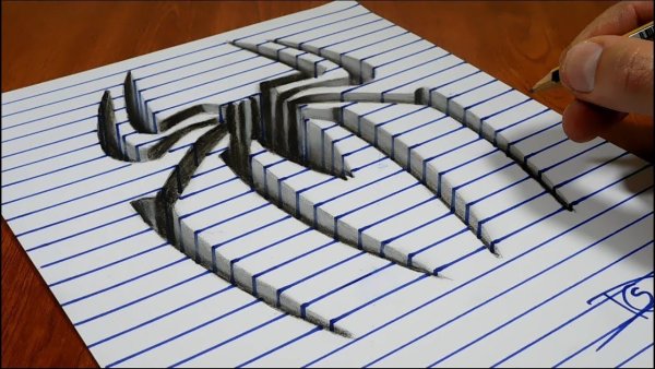 Иллюзии на бумаге в клеточку