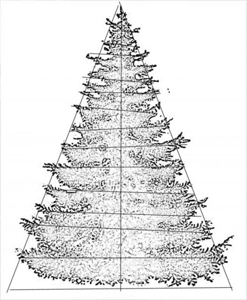 Елка карандашом