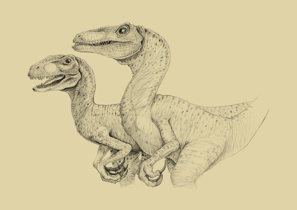 Велоцераптор философ