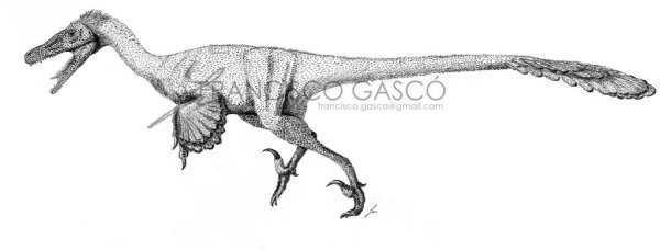 Велоцераптор картинки с описанием