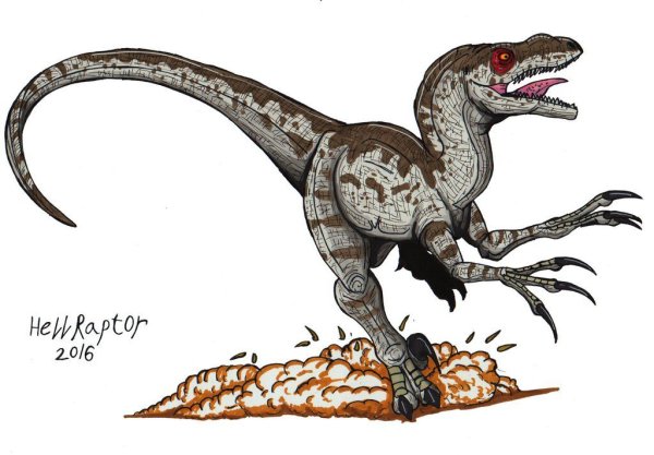 Велоцераптор скелет анатомия