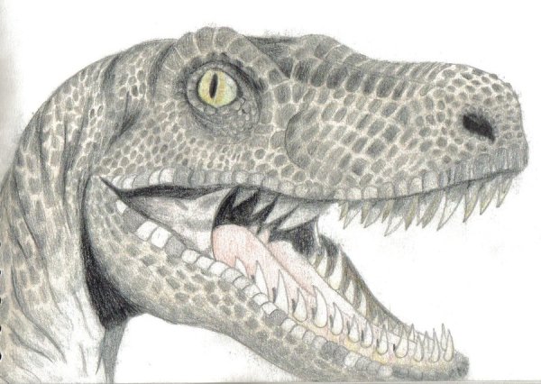 Велоцераптор арт карандашом