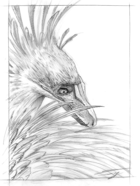 Мультик про динозавра Диплодок