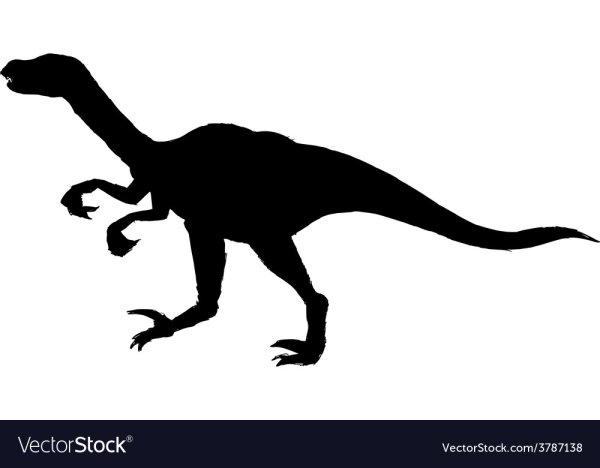 Скелет Велоцираптора сбоку